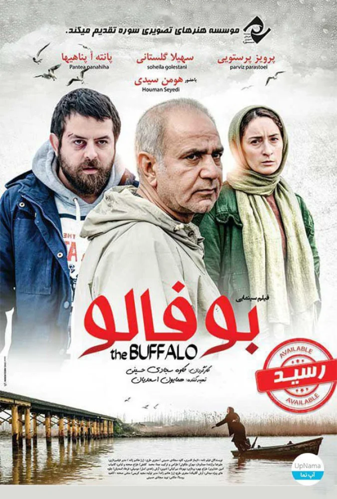 دانلود فیلم بوفالو (The Buffalo 2015) : سفری دراماتیک به اعماق تاریکی با طعم معمایی