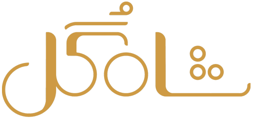 دانلود سریال شاه گل با اجرای مهران مدیری کامل | قسمت 1